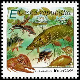 EUROPA: Fauna i flora wodna