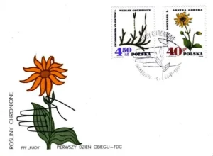 Rośliny chronione