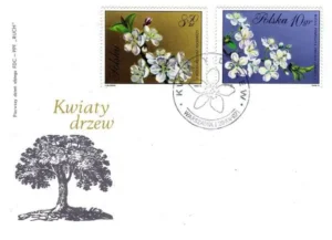 Kwiaty drzew