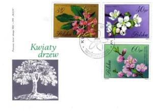 Kwiaty drzew