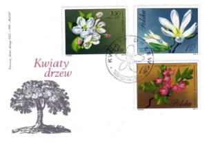 Kwiaty drzew