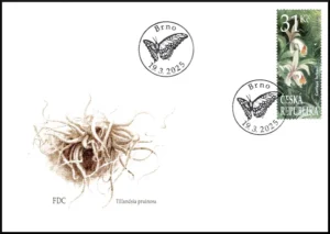 Ogród Botaniczny w Brnie