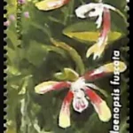 Ogród Botaniczny w Brnie
