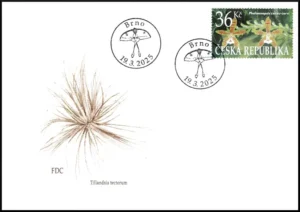 Ogród Botaniczny w Brnie