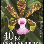 Ogród Botaniczny w Brnie