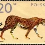 Zwierzęta z ogrodów zoologicznych