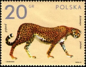 Zwierzęta z ogrodów zoologicznych