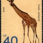 Zwierzęta z ogrodów zoologicznych