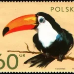 Zwierzęta z ogrodów zoologicznych