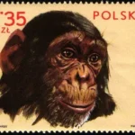 Zwierzęta z ogrodów zoologicznych