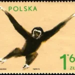 Zwierzęta z ogrodów zoologicznych