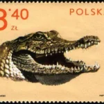 Zwierzęta z ogrodów zoologicznych