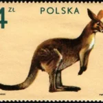 Zwierzęta z ogrodów zoologicznych