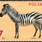 Zwierzęta z ogrodów zoologicznych