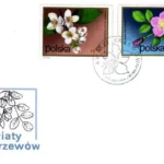 Kwiaty krzewów