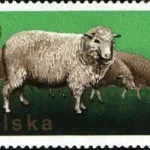 XXVI Zjazd Europejskiej Federacji Zootechnicznej w Warszawie