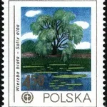 Ochrona środowiska - Drzewa