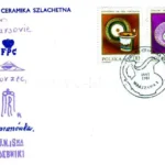 Polska ceramika szlachetna