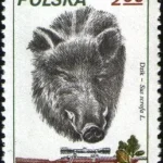 Łowiectwo