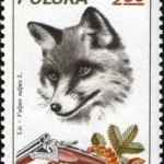 Łowiectwo