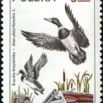 Łowiectwo