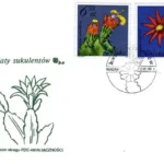 Kwiaty sukulentów - kaktusy
