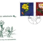 Kwiaty sukulentów - kaktusy