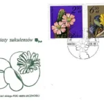 Kwiaty sukulentów - kaktusy
