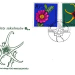 Kwiaty sukulentów - kaktusy