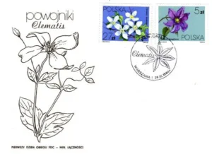 Powojniki - Clematis