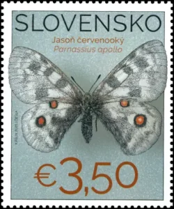 Ochrona przyrody: kolekcja motyli w Muzeum Słowacji Środkowej, Bańska Bystrzyca