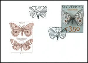 Ochrona przyrody: kolekcja motyli w Muzeum Słowacji Środkowej, Bańska Bystrzyca