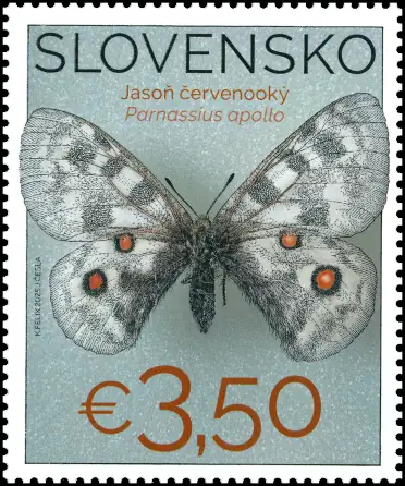 Ochrona przyrody: kolekcja motyli w Muzeum Słowacji Środkowej, Bańska Bystrzyca