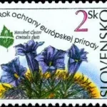 Europejski Rok Ochrony Przyrody
