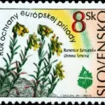 Europejski Rok Ochrony Przyrody