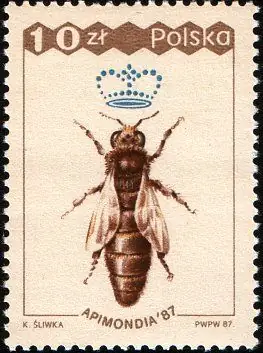 XXXI Międzynarodowy Kongres Pszczelarski „Apimondia '87”