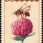 XXXI Międzynarodowy Kongres Pszczelarski „Apimondia '87”