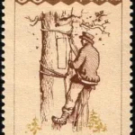 XXXI Międzynarodowy Kongres Pszczelarski „Apimondia '87”