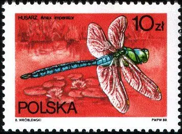 Ważki polskie