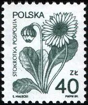Rośliny lecznicze