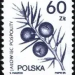 Rośliny lecznicze
