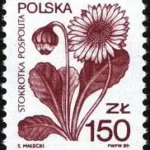Rośliny lecznicze