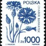 Rośliny lecznicze