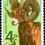 Ochrona przyrody