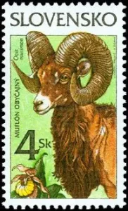 Ochrona przyrody