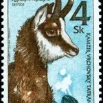 Ochrona przyrody