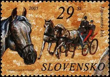 Ochrona przyrody - Konie