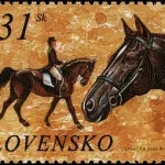 Ochrona przyrody - Konie