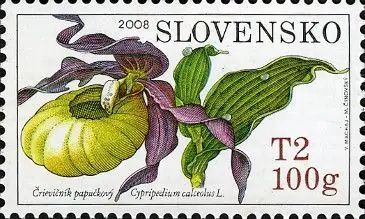 Ochrona przyrody - storczyki