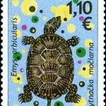 Ochrona Środowiska - Fauna - Żółw błotny